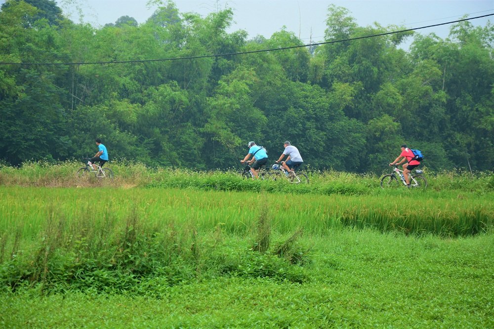 1773023060_Hanoi Co Loa countryside cycling tour.jpg